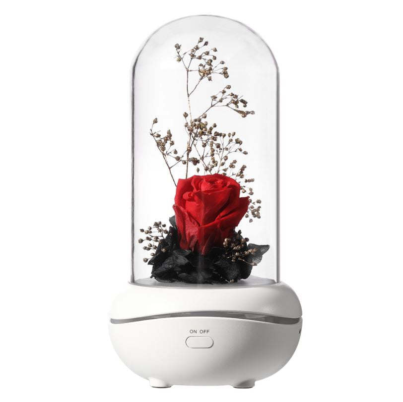 Rose Rechargeable LED Night Light Aroma Diffuser  Aromatherapy Oil  Diffuser-xinru