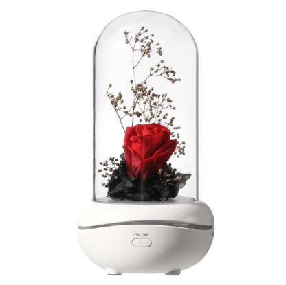 Rose Rechargeable LED Night Light Aroma Diffuser  Aromatherapy Oil  Diffuser-xinru
