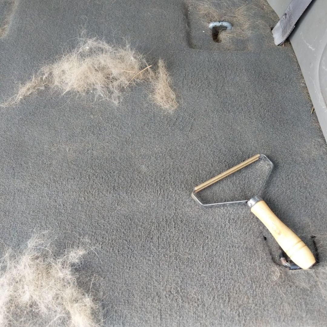 Pet Hair Remover Lint Rollers Clothes Fuzz Remover-xinru