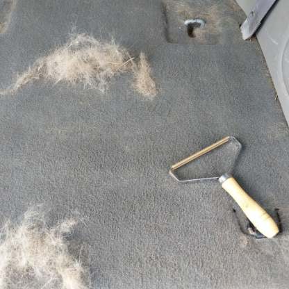 Pet Hair Remover Lint Rollers Clothes Fuzz Remover-xinru