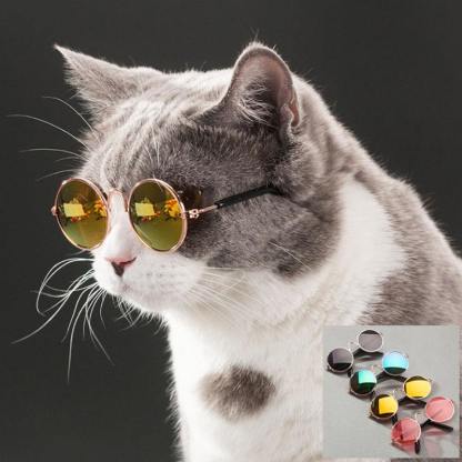 Cat Dog Classic Retro Pet Sunglasses-xinru