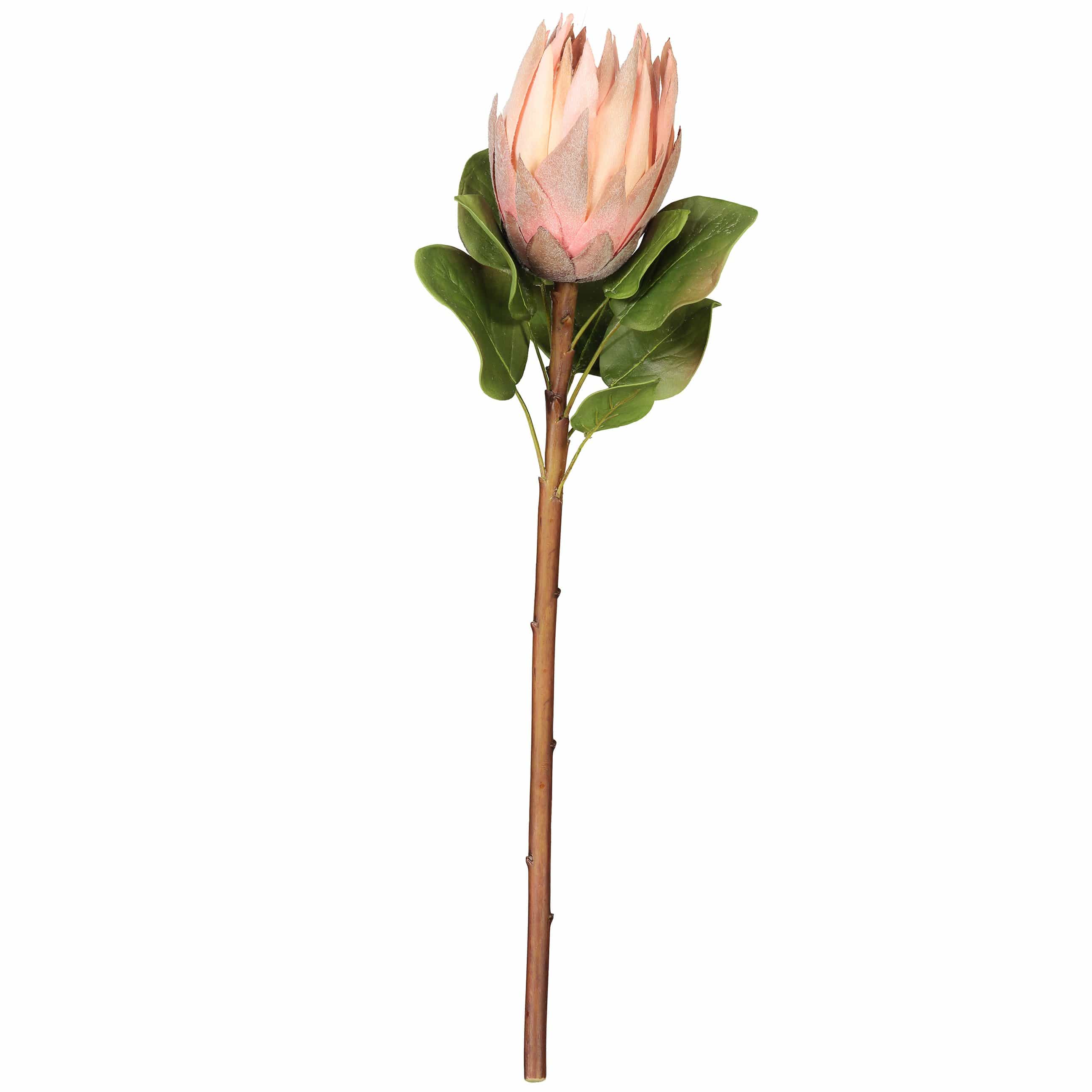 Artificial Pink King Protea 23.5"-xinru shop