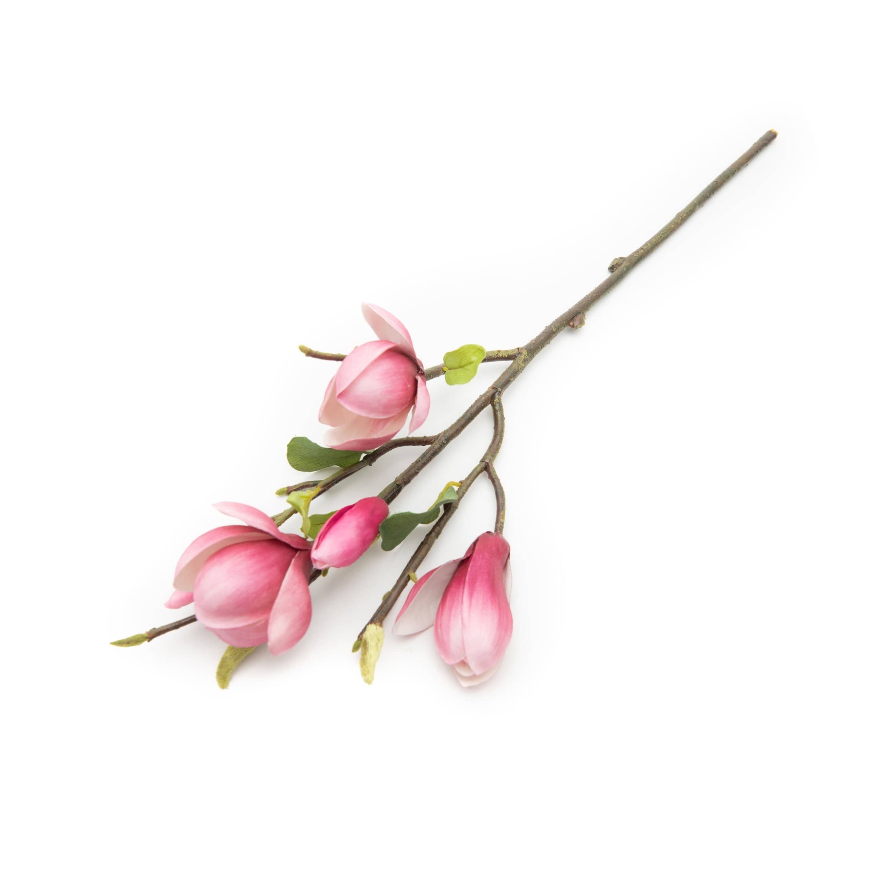 Fuschia Magnolia Tulip 20"-xinru shop