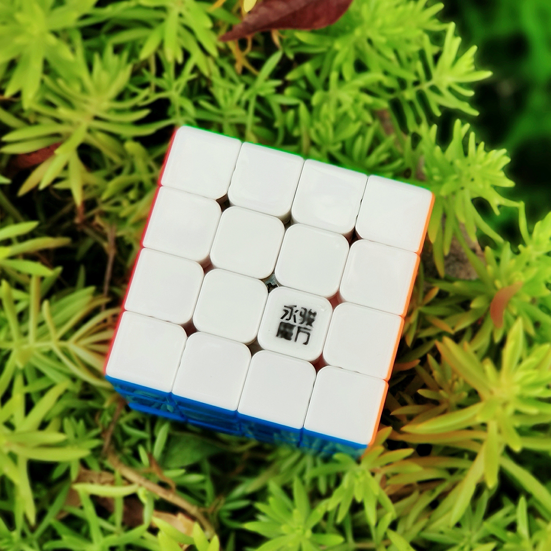 YJ ZhiLong Mini 5x5 M-xinru shop