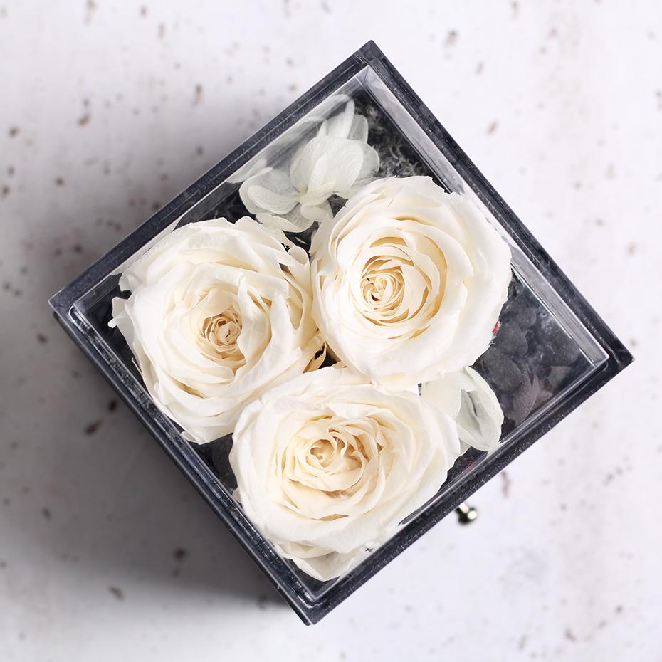 Immortal Preserved Rose Teddy Bear Box Display-xinru