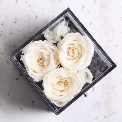 Immortal Preserved Rose Teddy Bear Box Display-xinru