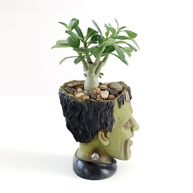 Resin Frankenstein Flower Pot Table Decorations-xinru