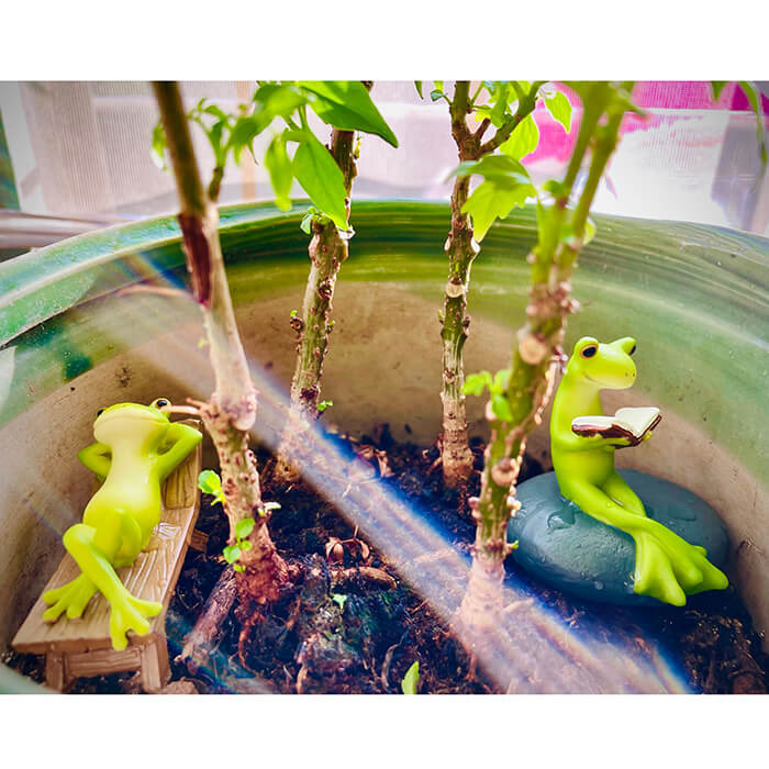 Cute Rural Cartoon Frog Resin Figurine Garden Ornament-xinru