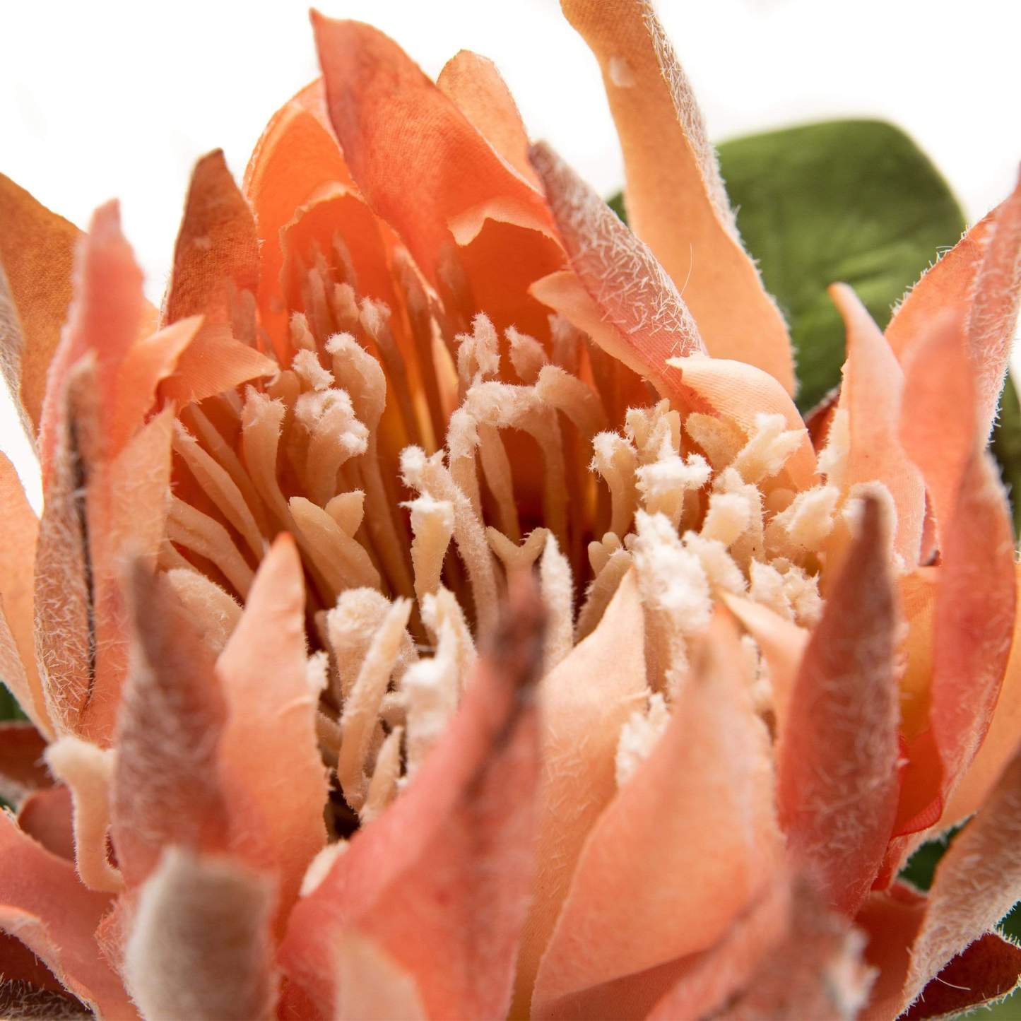 Artificial Pink King Protea 23.5"-xinru shop