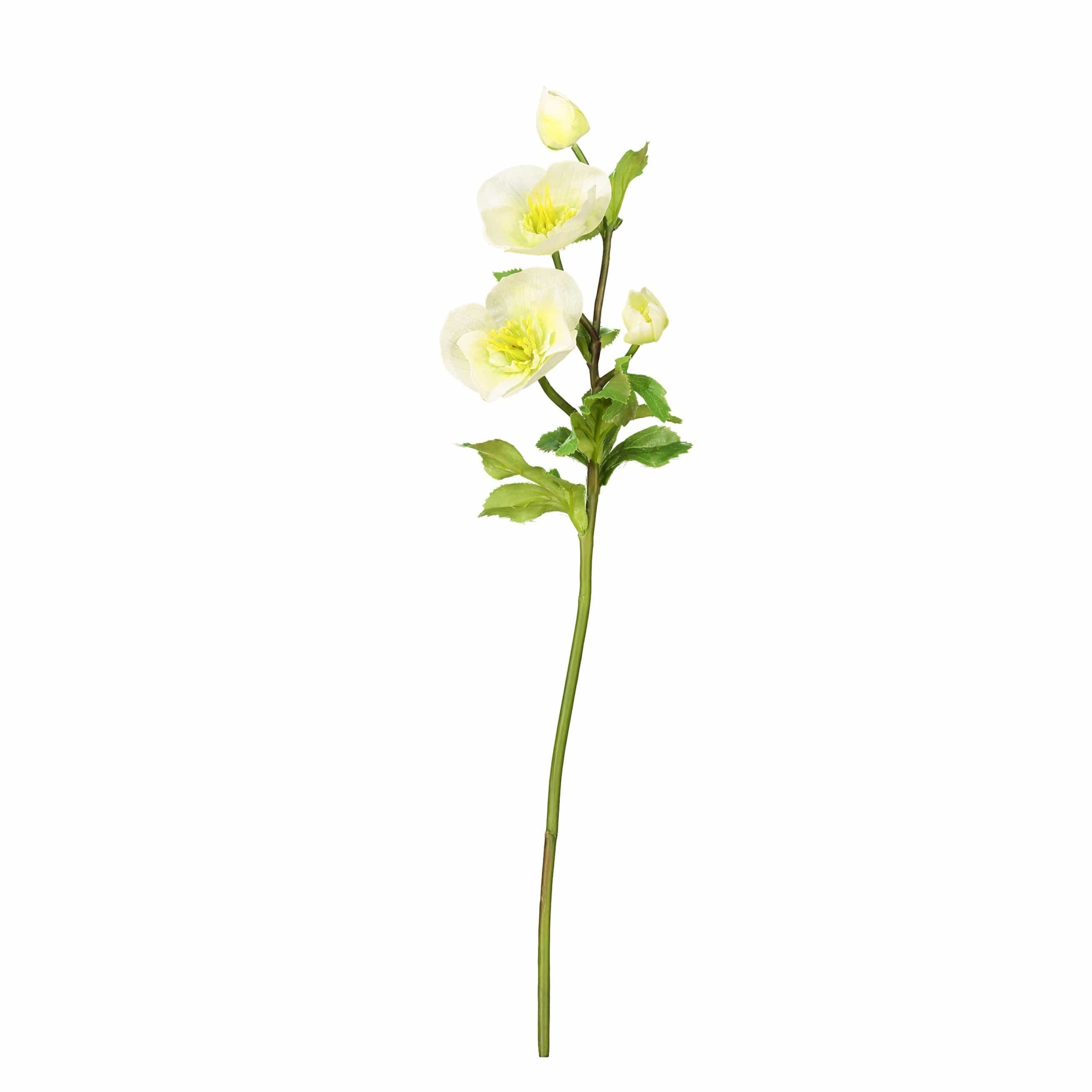 Artificial White Winter Hellebore 18"-xinru shop
