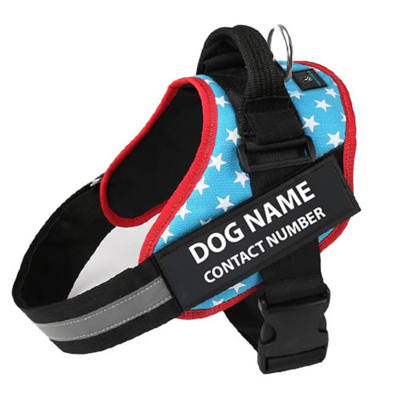 No Pull Custom Name Tag Dog Harness-xinru