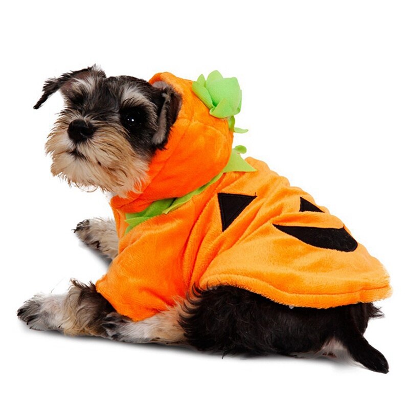 Pumpkin Dog Costume | Dog Halloween Costumes | Cat Halloween Costumes-xinru