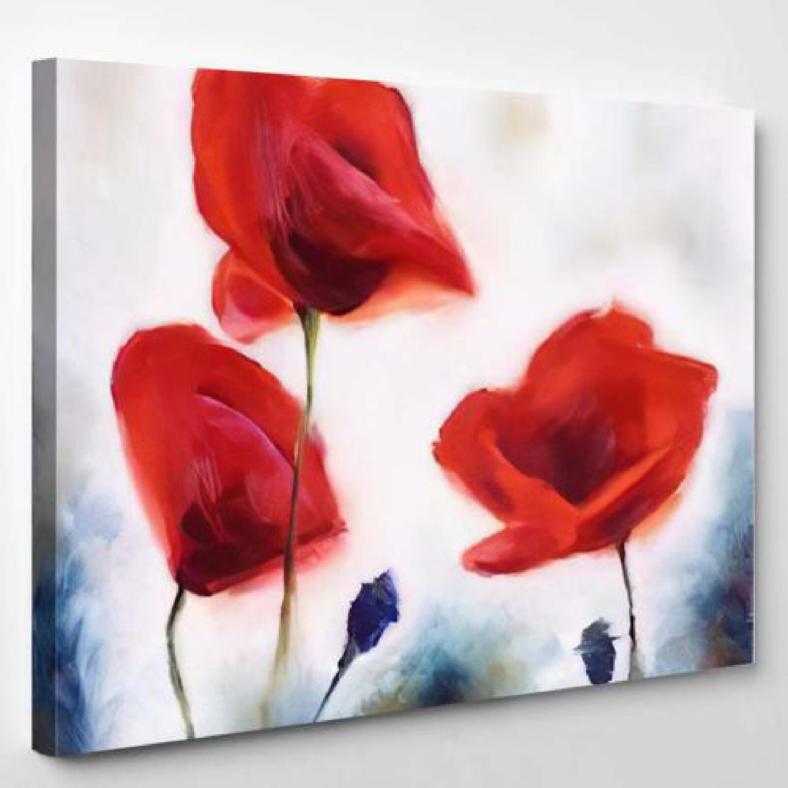 Blossoming Poppy Buds Drawn-xinru shop