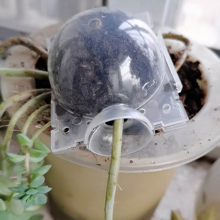 Reusable Air Layering Propagation Balls-xinru