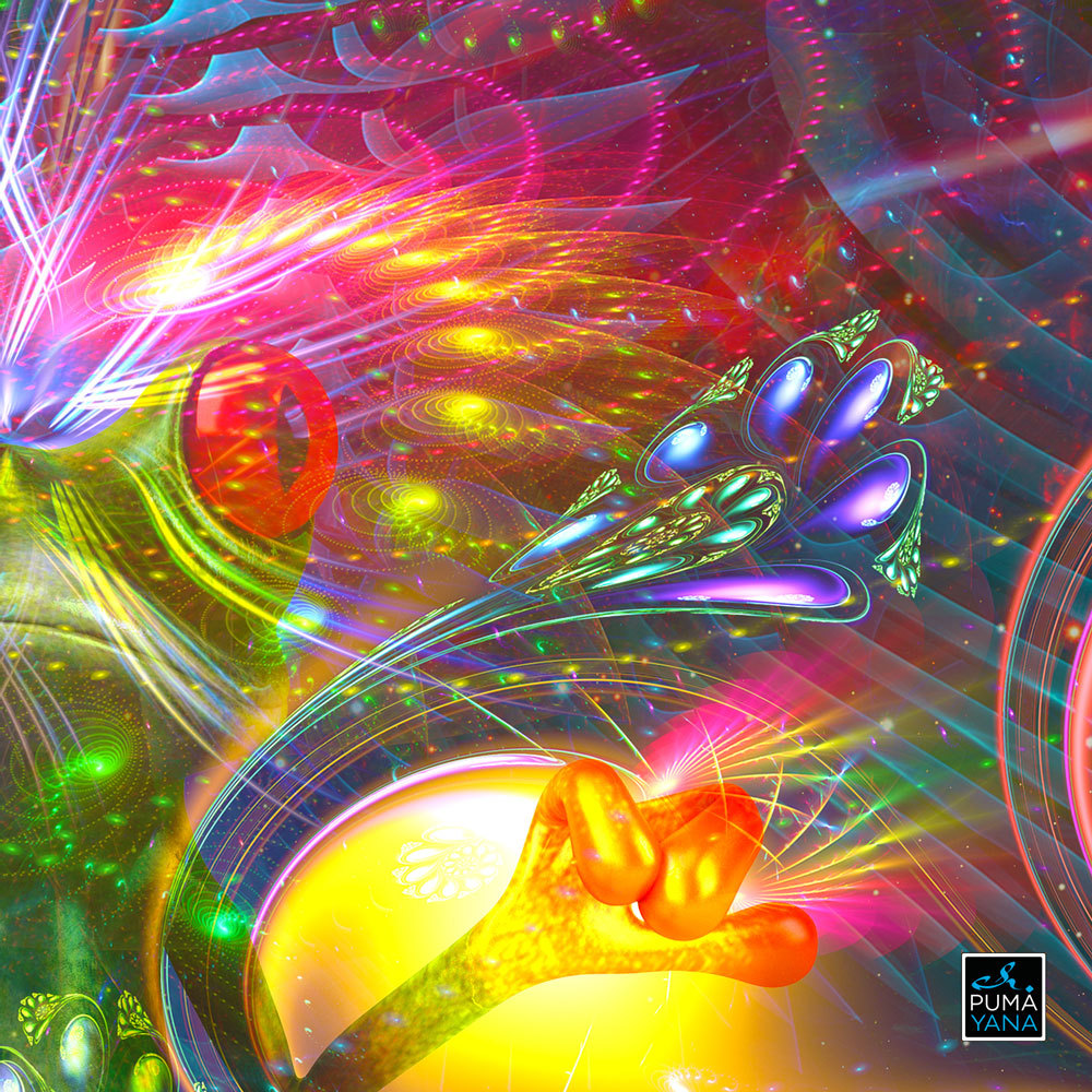 Dimitri the Frog Trippy Psychedelic Tapestry Wall Hanging-xinru shop