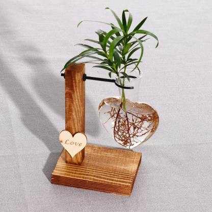Hydroponic Plant Vase-xinru shop