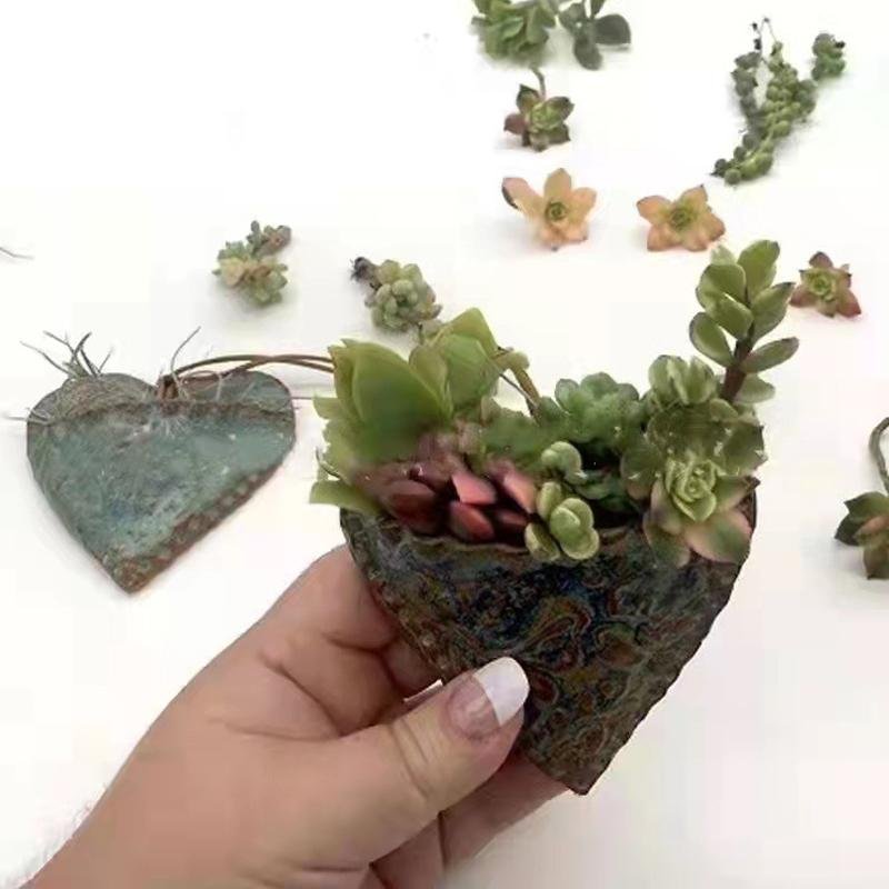 Planting Succulent Heart Pocket Planter-xinru