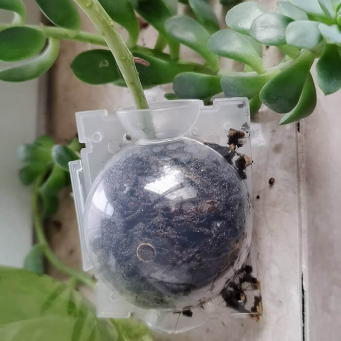 Reusable Air Layering Propagation Balls-xinru