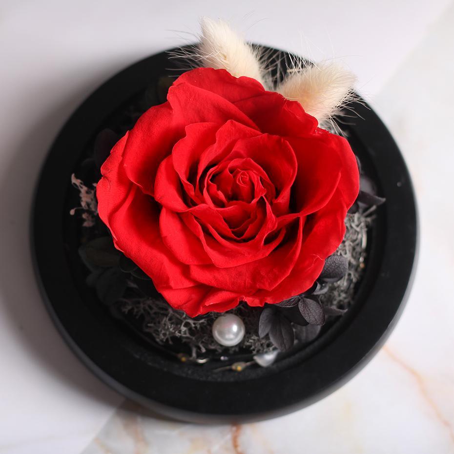 Mother's Day Gift Immortal Enchanted Rose Glass Heart Dome-xinru