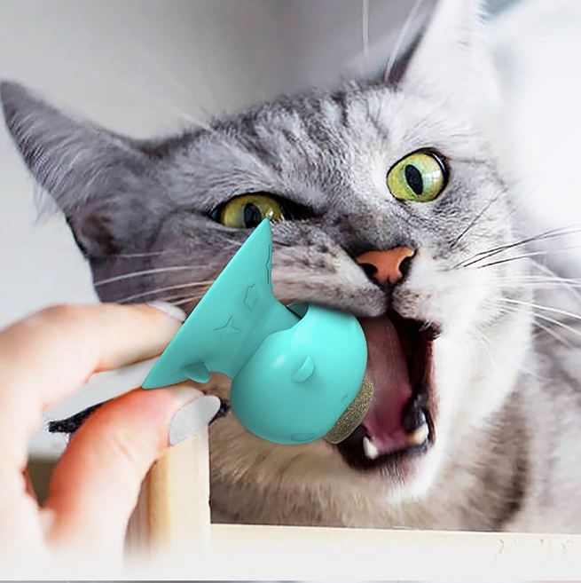 Pig-nose Catnip Cat Toy-xinru