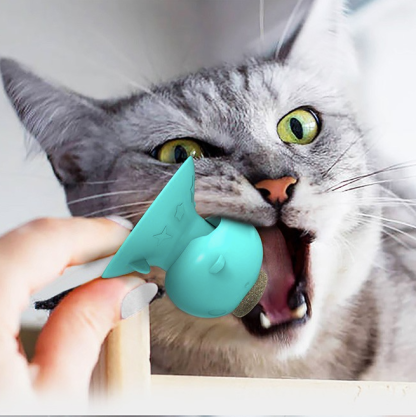 Pig-nose Catnip Cat Toy-xinru