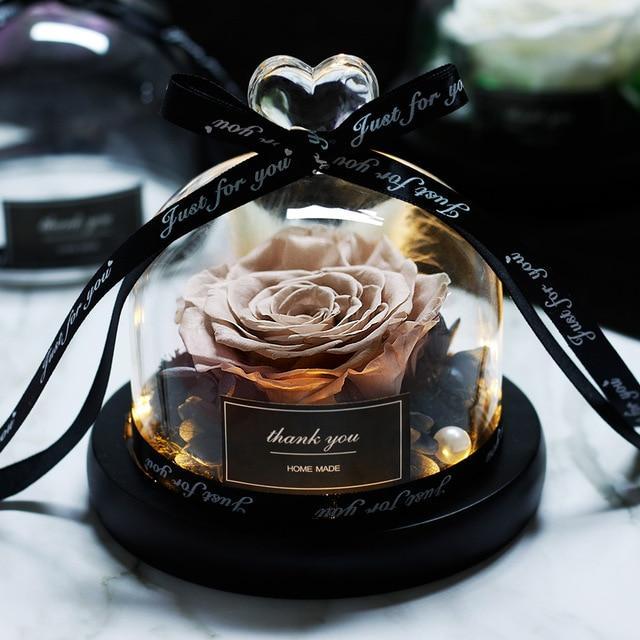 Mother's Day Gift Immortal Enchanted Rose Glass Heart Dome-xinru