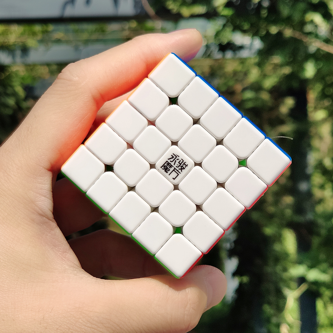 YJ ZhiLong Mini 5x5 M-xinru shop