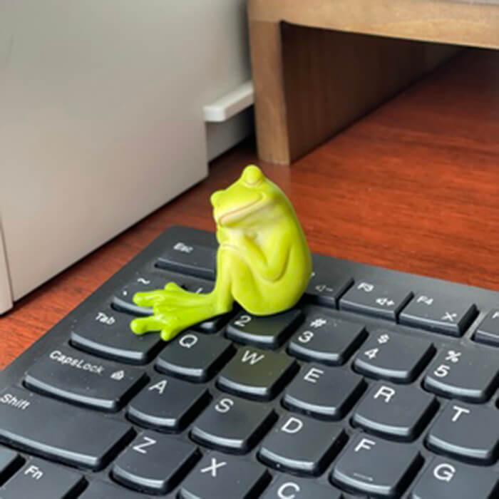 Cute Rural Cartoon Frog Resin Figurine Garden Ornament-xinru