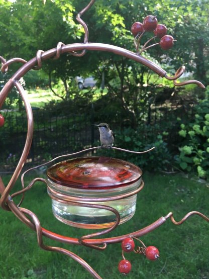 Early Spring Red Berries Hummingbird Feeder-xinru