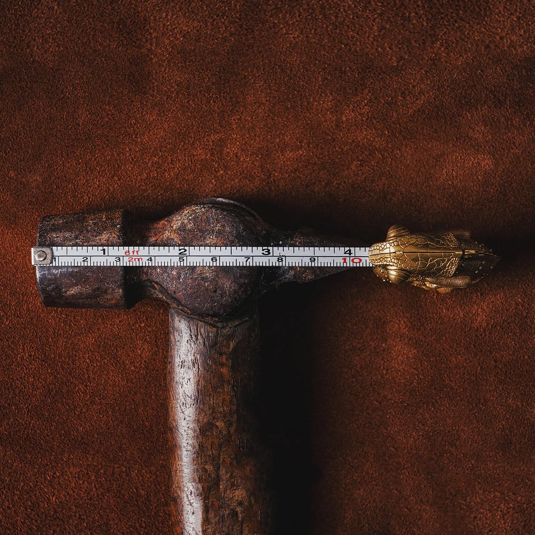 Metal Retractable Measure Tape Ruler Chameleon Tape Measure-xinru