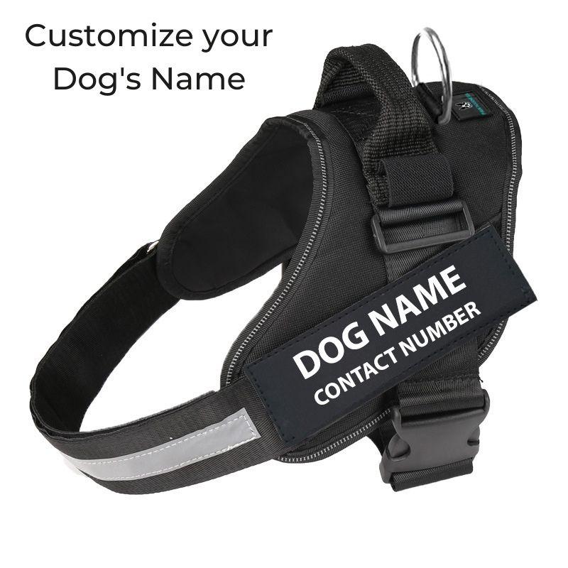 No Pull Custom Name Tag Dog Harness-xinru