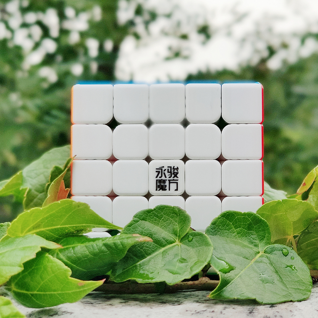 YJ ZhiLong Mini 5x5 M-xinru shop