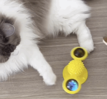 Windmill Cat Toy - The fidget spinner for cats! Kittenfy