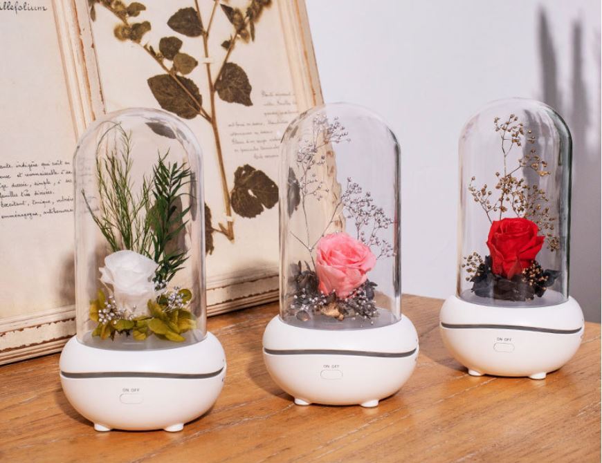 Rose Rechargeable LED Night Light Aroma Diffuser  Aromatherapy Oil  Diffuser-xinru