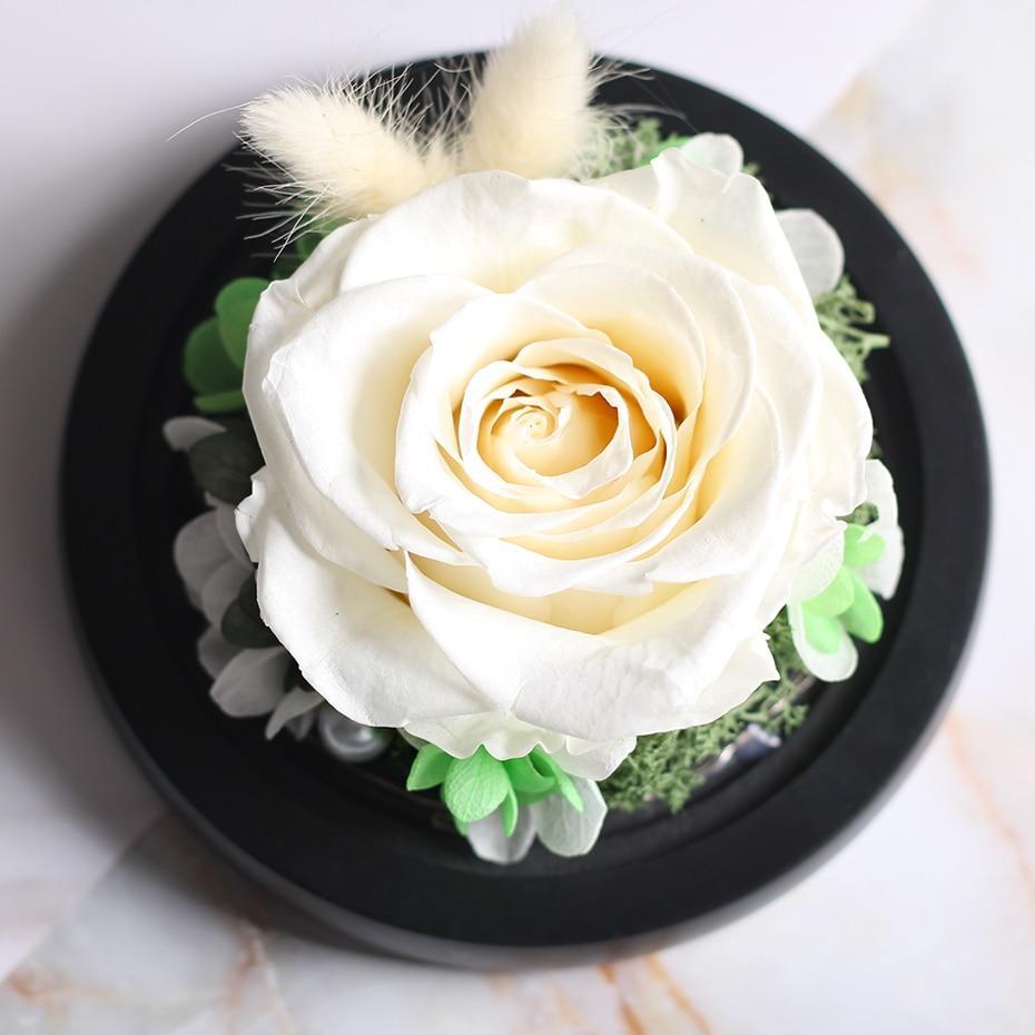 Mother's Day Gift Immortal Enchanted Rose Glass Heart Dome-xinru