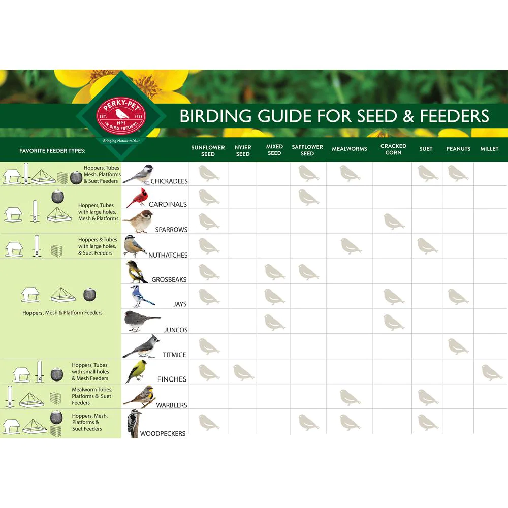 Squirrel Proof Bird Feeder - 3.5 lb. Capacity-xinru shop