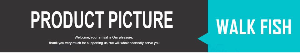 WALK FISH 47