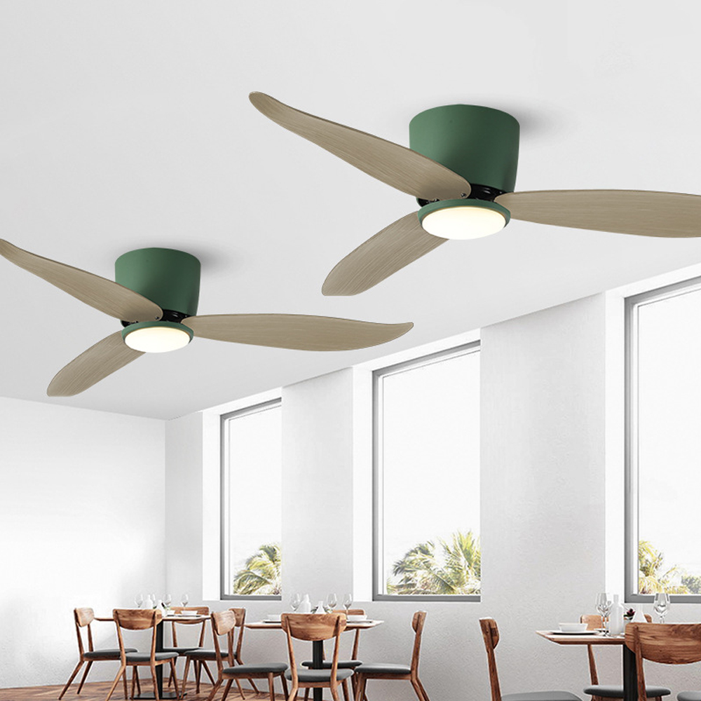 Nordic Living Room Smart Remote Control Ceiling Fan Lamp LED light Fan
