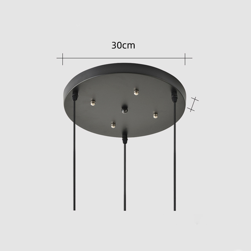 Hardwired Two-headed Three-headed Black Ceiling Plate White Lamp Base