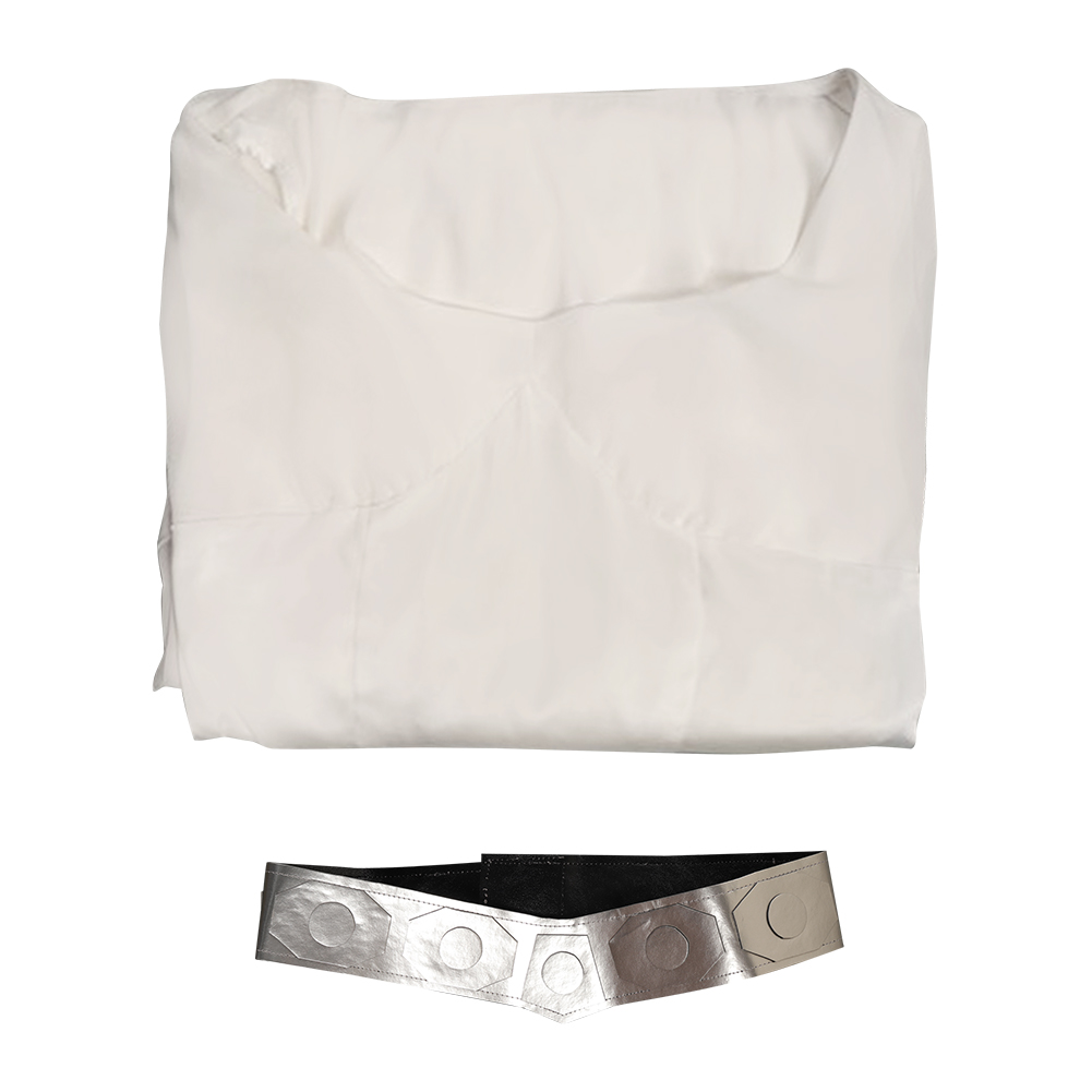 Star Wars: A New Hope Princess Leia Outfits Halloween Carnival Suit Cosplay Costume