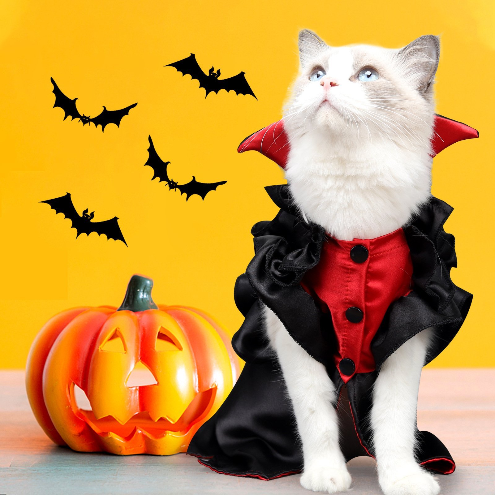 Pets Costume