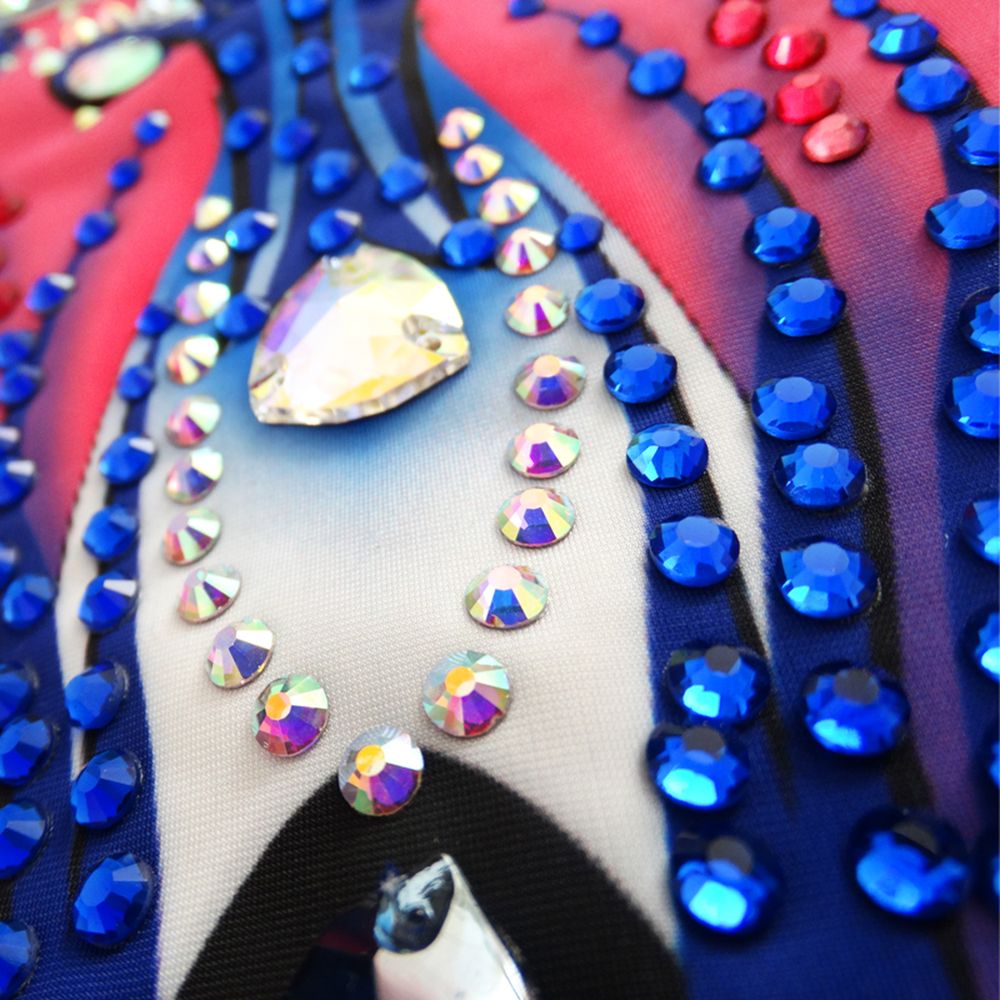 Girls Aerobatics Gymnastics Leotards Handmade Sleeveless Competition Dance Blue Rhythmic Gymnastics Artistic Gymnastics Pink