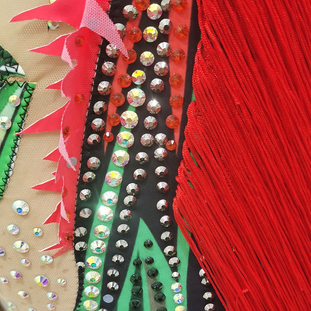 LUHUO Rhythmic Gymnastics Leotards Red Women's Girls' Kids Dance  Kids Tassels High Elasticity Handmade Long Sleeve Competition Dance Ice Skating Dress