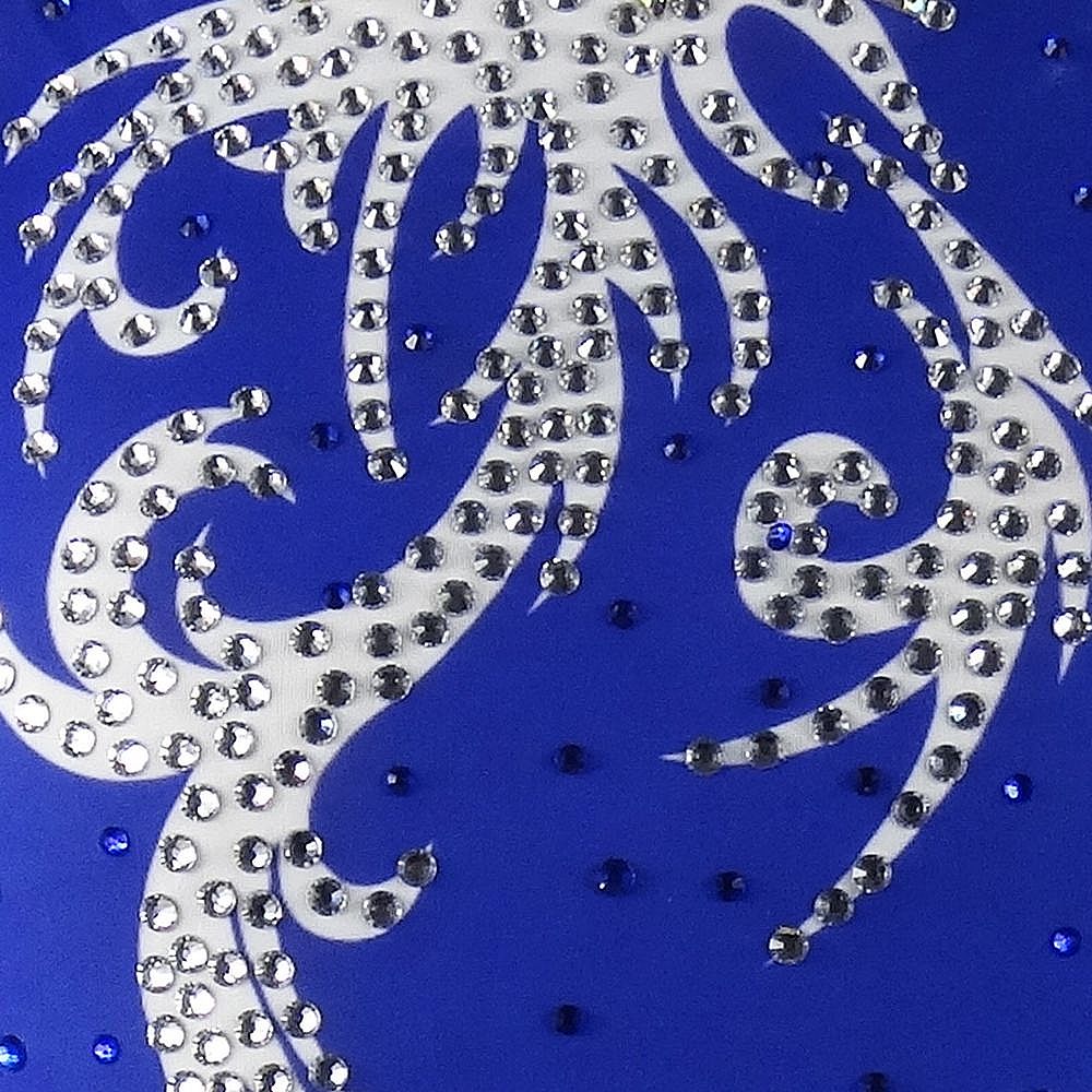 Rhythmic Gymnastics Leotards Women Girls Competition Dance Skirt Figure Skating Dress Youth Training Gymnastics Artistic Leotard