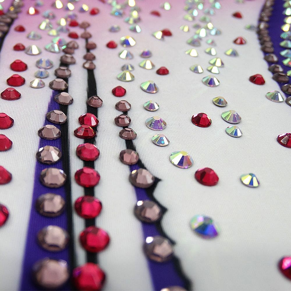 LIUHUO Gymnastics Leotards Girls Handmade Short Sleeve Competition Dance Rhythmic Gymnastics Artistic Gymnastics Blue Pink