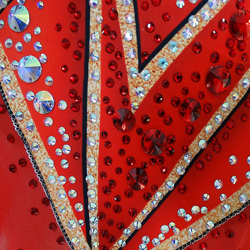 Rhythmic Gymnastics Leotards Women's Girls' Kids  Artistic Gymnastics Leotards Spandex Elastane High Elasticity Handmade Long Sleeve Competition Dance Ice Skating Rhythmic Gymnastics