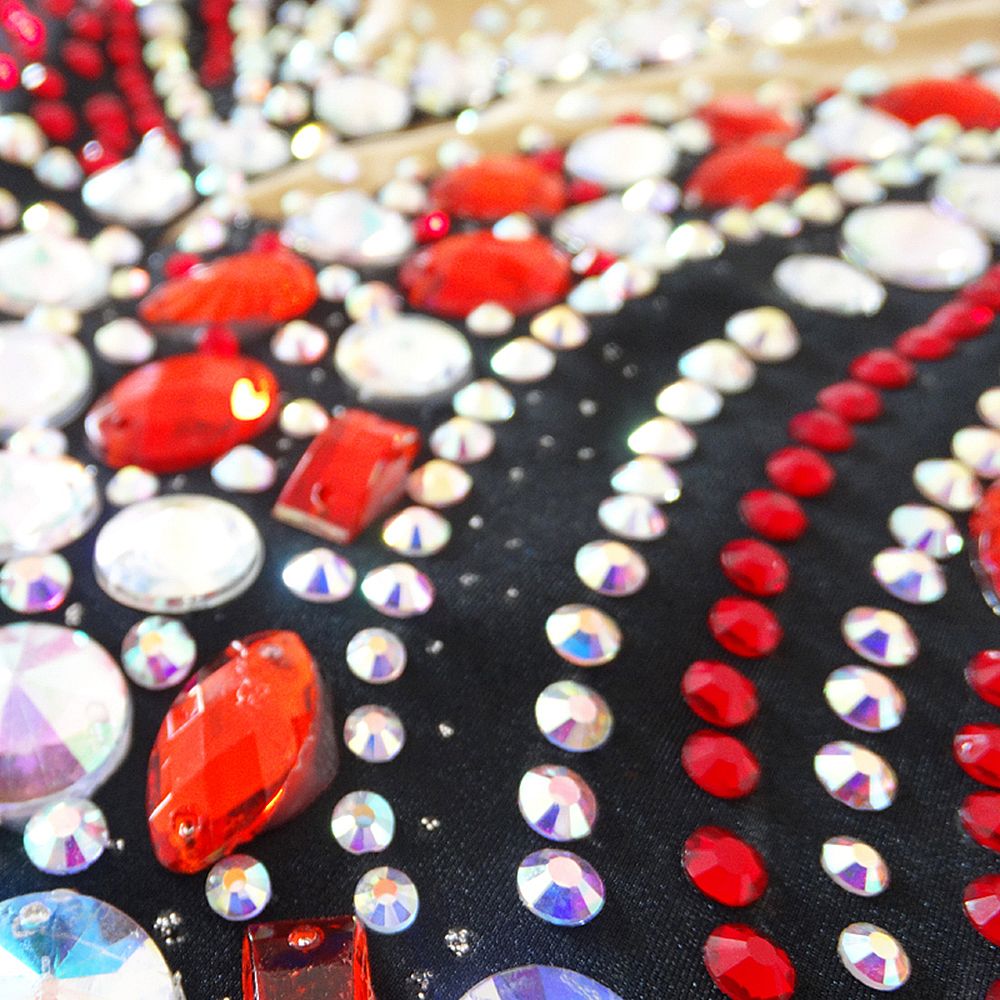 LUHUO Artisstics Gymnastics Leotards Women's Girls' Kids Dance Gymnastics Leotards Spandex Elastane High Elasticity Handmade Long Sleeve Competition Dance Ice Skating Dress