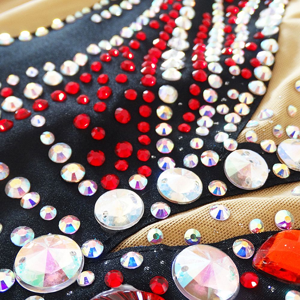 LUHUO Artisstics Gymnastics Leotards Women's Girls' Kids Dance Gymnastics Leotards Spandex Elastane High Elasticity Handmade Long Sleeve Competition Dance Ice Skating Dress