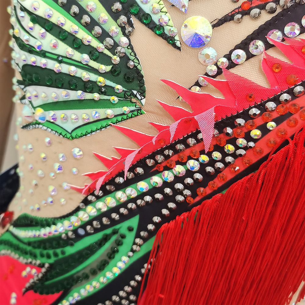 LUHUO Rhythmic Gymnastics Leotards Red Women's Girls' Kids Dance  Kids Tassels High Elasticity Handmade Long Sleeve Competition Dance Ice Skating Dress