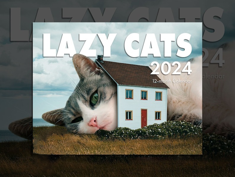LAZY CAT CALENDAR 2024
